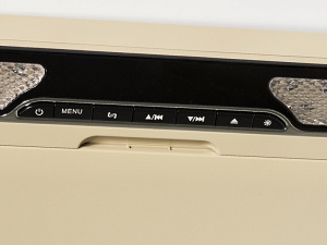 Автомобильный потолочный монитор 13,3 со встроенным DVD плеером AVIS Electronics AVS440T (бежевый)